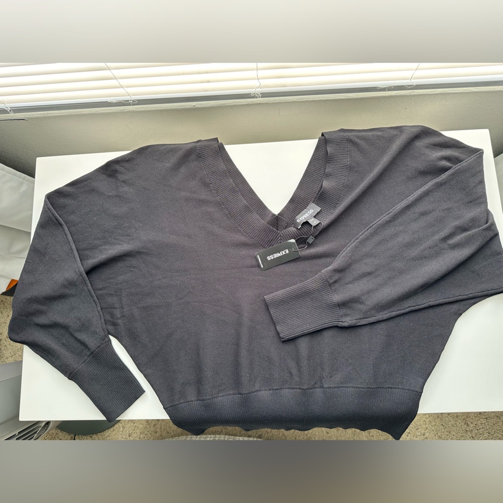 Express v neck soho sweater